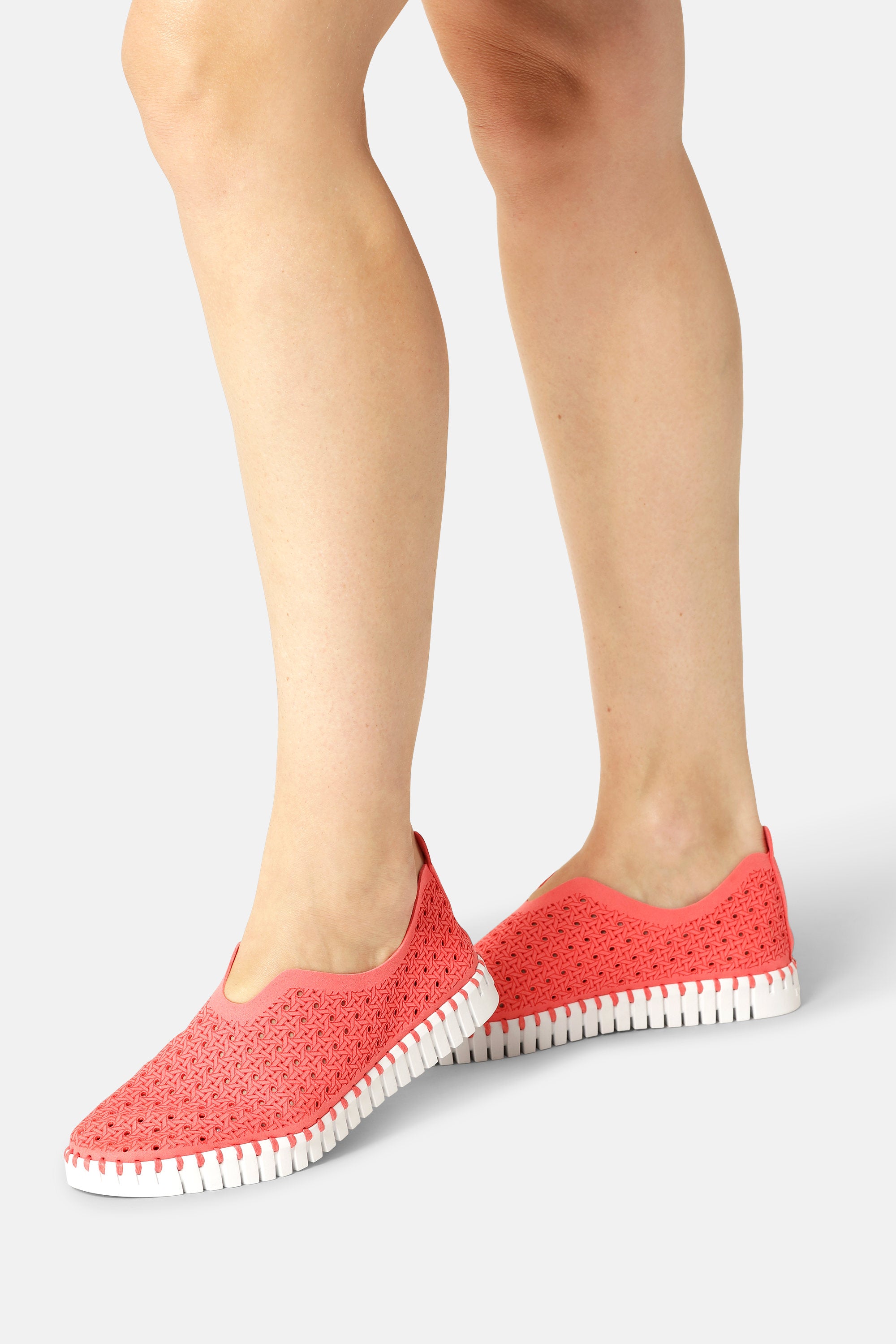 Tulip Flats - Raspberry White